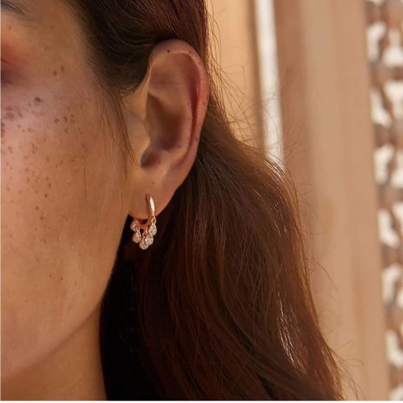 Gold 14k Gold Plated Tassel Cubic Zirconia Hoop Earrings - Picture 1 of 4